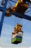 Supply Chain